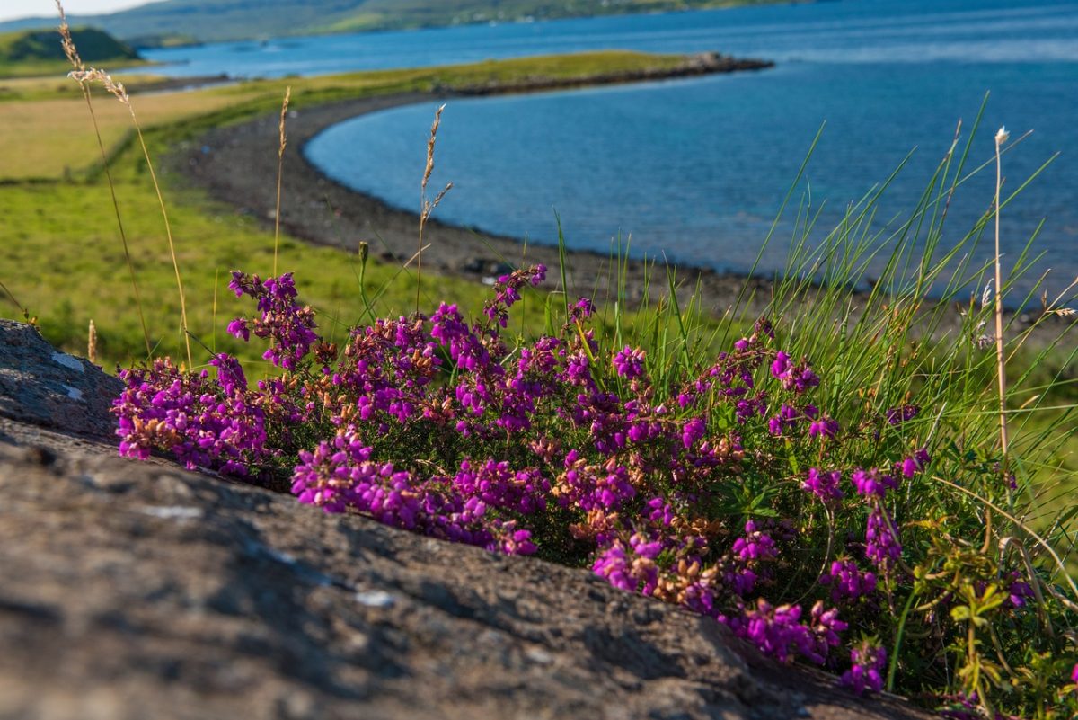 Beeindruckende Aufnahme der Isle of Skye.
